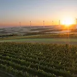 ベッド・アンド・ブレックファスト Weingut & Gaestezimmer Zillinger 3*