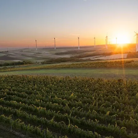 Frühstückspension Weingut&gästezimmer Zillinger 3*