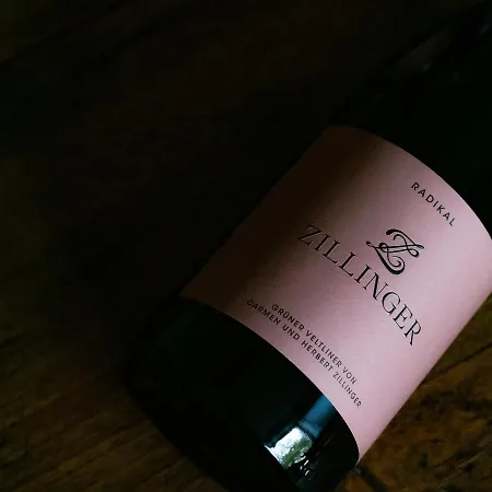 Frühstückspension Weingut&gästezimmer Zillinger Ebenthal (Ganserndorf)