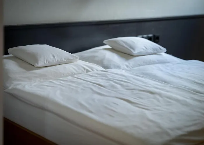 Weingut & Gaestezimmer Zillinger 3* Ebenthal (Ganserndorf)