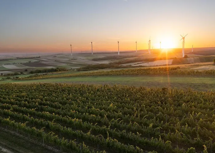 Bed & Breakfast Weingut & Gaestezimmer Zillinger 3*