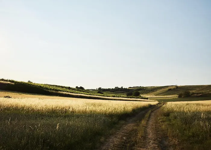 Weingut & Gaestezimmer Zillinger